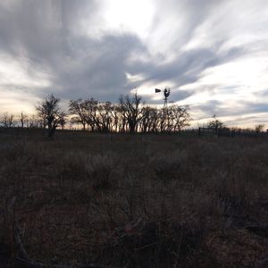 Meet your Posher, Tanner